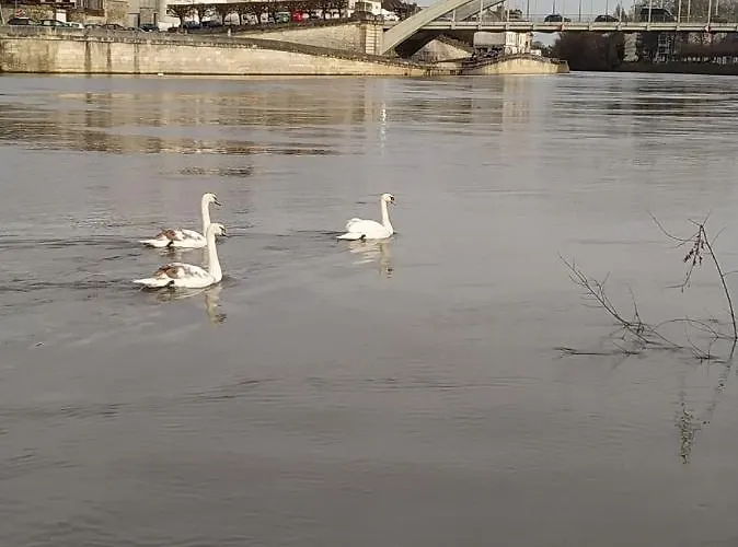 Espace Zen Apartment *